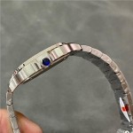 卡地亚度山士34mm 机械表