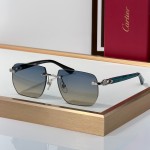 Cartier CT0845S Glasses