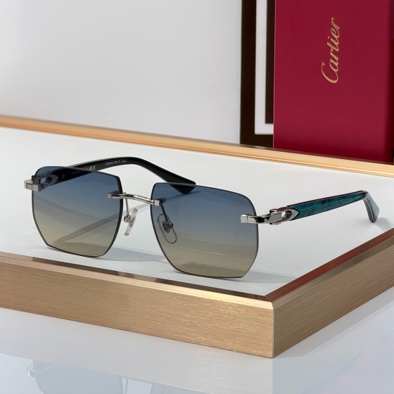 Cartier CT0845S Glasses