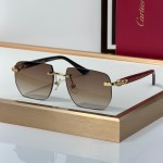 Cartier CT0845S Glasses