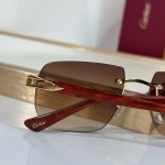 Cartier CT0845S Glasses