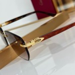 Cartier CT0845S Glasses