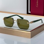 Cartier CT0845S Glasses