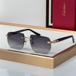 Cartier CT0845S Glasses