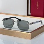 Cartier CT0845S Glasses