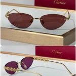Cartier CT0543S Glasses