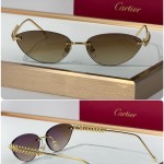 Cartier CT0543S Glasses