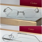 Cartier CT0543S Glasses