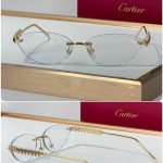 Cartier CT0543S Glasses