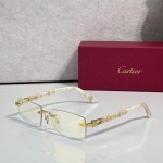 Cartier CT0579S Glasses