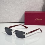 Cartier CT0579S Glasses