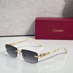 Cartier CT0579S Glasses