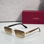 Cartier CT0579S Glasses