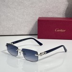 Cartier CT0579S Glasses