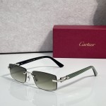 Cartier CT0579S Glasses