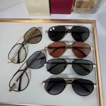 Cartier CT0477S Glasses