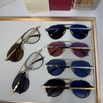 Cartier CT0477S Glasses