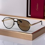 Cartier CT0477S Glasses