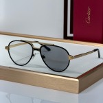 Cartier CT0477S Glasses