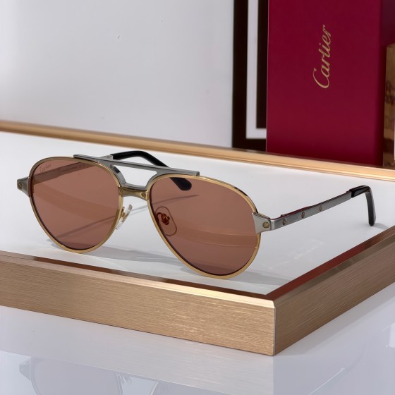 Cartier CT0477S Glasses