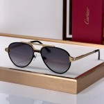 Cartier CT0477S Glasses