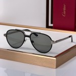 Cartier CT0477S Glasses