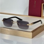 Cartier CT0847S Glasses