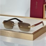 Cartier CT0847S Glasses