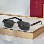 Cartier CT0847S Glasses