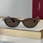 Cartier CT0920S Glasses