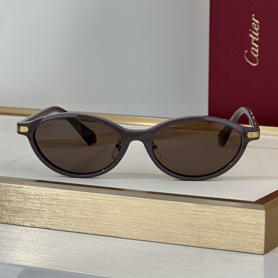 Cartier CT0920S Glasses