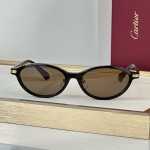 Cartier CT0920S Glasses