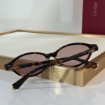 Cartier CT0920S Glasses