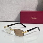 Cartier CT0579S Glasses