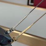 Cartier CT0616S  Glasses