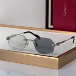 Cartier CT0616S  Glasses