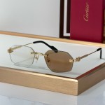 Cartier CT0616S  Glasses
