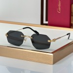 Cartier CT0616S  Glasses