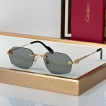 Cartier CT0616S  Glasses