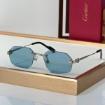 Cartier CT0616S  Glasses