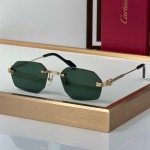 Cartier CT0616S  Glasses