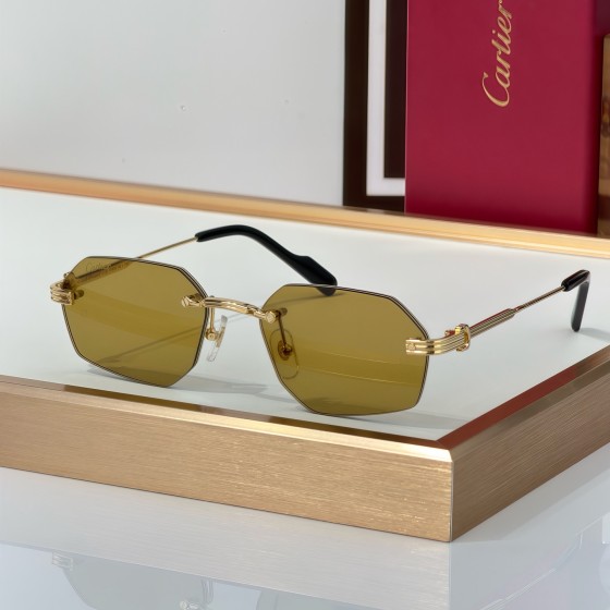 Cartier CT0616S  Glasses