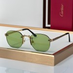 Cartier CT0459S Glasses