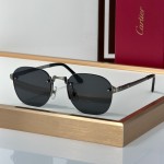 Cartier CT0459S Glasses