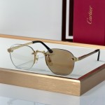 Cartier CT0459S Glasses