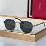 Cartier CT0459S Glasses