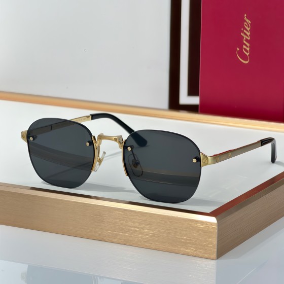 Cartier CT0459S Glasses