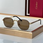 Cartier CT0459S Glasses