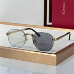 Cartier CT0459S Glasses