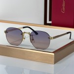 Cartier CT0459S Glasses